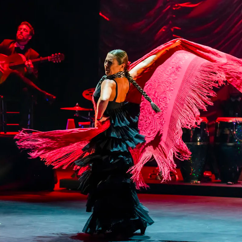 Featured image for “Flamenco Reborn <br>16 Settembre”